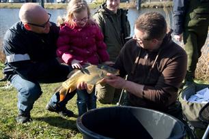 200 Spiegelkarpers uitgezet in het Noord-Hollands Kanaal