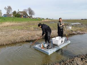 67 snoeken, 20 karpers, veel baarzen en voorns afgevangen en uitgezet in Markermeer