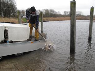 Forel uitgezet in Geestmerambacht