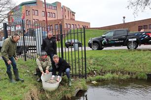 Graskarpers uitgezet in Medemblik