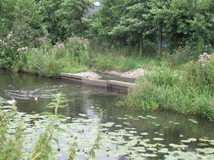 Hoogheemraadschap De Stichtse Rijnlanden gaat ook in 2015 minder waterplanten maaien