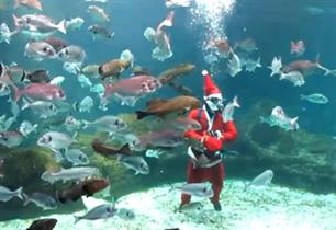 Kerstman naar de haaien (videos)
