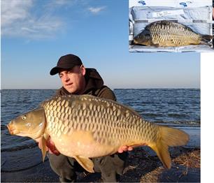 Maandwinnaars maart en april terugmelden spiegelkarpers
