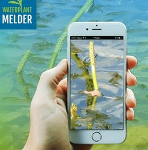 Nieuwe app en website voor melden overlast waterplanten