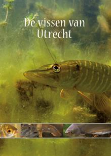 Nieuwe vissenatlas provincie Utrecht
