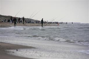 Nieuwsgierig hoe vissen op zee is?