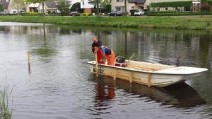 Onderwater bos voor vissen