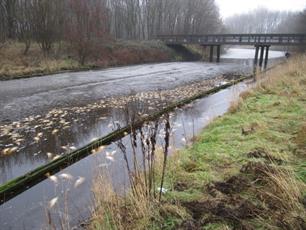 Ook in de winter kunnen vissen in nood komen