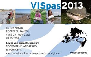 Preview: VISpas 2013