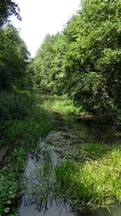 &quot;Natuurmonumenten tegen uitstel waterkwaliteitsverbetering&quot;