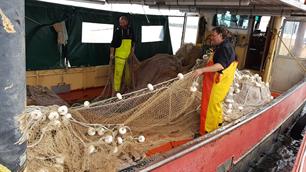 Sport- en beroepsvisserij starten weer met onderzoek naar de visstand op de Zuidelijke Randmeren.
