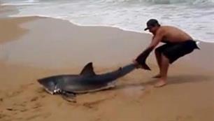Stoere Aussie trekt spartelende haai weer in zee (VIDEO)