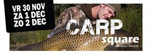 Video CARPsquare