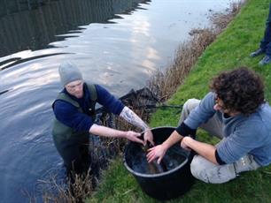 vissen gered in Uitgeest