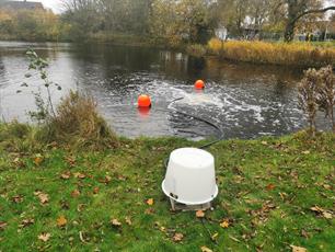 Vissen in nood gered in Alkmaar