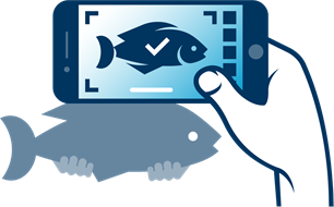VISsenscanner: vissen herkennen met je smartphone!